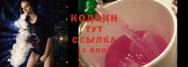 хмурый Сосновка