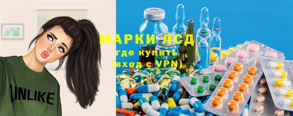 ПСИЛОЦИБИНОВЫЕ ГРИБЫ Верхний Тагил