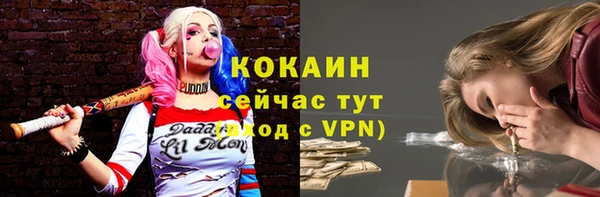 ПСИЛОЦИБИНОВЫЕ ГРИБЫ Верхний Тагил