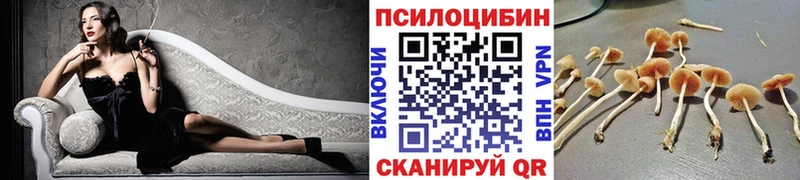 Псилоцибиновые грибы прущие грибы  магазин    Дорогобуж 